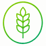 Contient du gluten